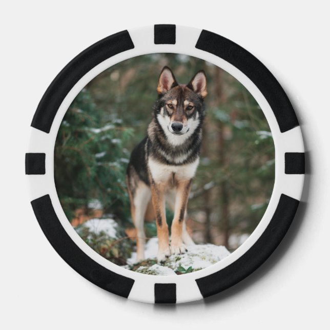Fichas De Póquer Wolfdog (Anverso)