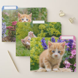 Fichero Gato de jengibre en un jardín florido