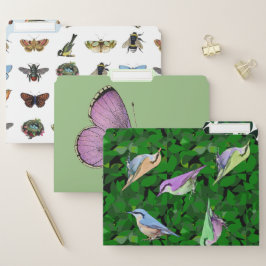 Fichero Insectos y aves, diseño natural de follaje fresco