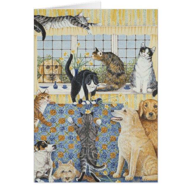 Fiebre de la primavera (Frente)