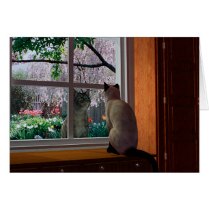 Fiebre de la primavera