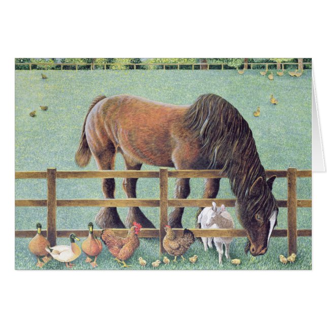 Fiel viejo (Anverso (Horizontal))