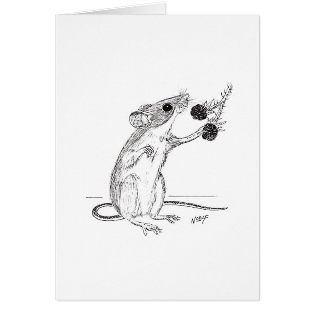 Fieldmouse y zarzamoras (Frente)