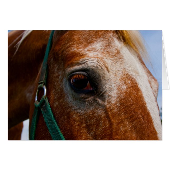 Fiery Eyes (Anverso (Horizontal))