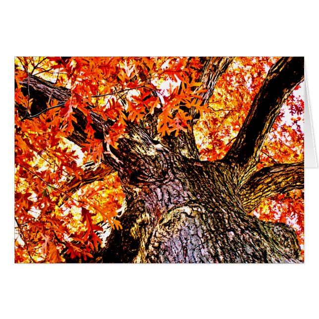 Fiery Oak (Anverso (Horizontal))