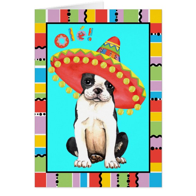 Fiesta Boston Terrier (Frente)
