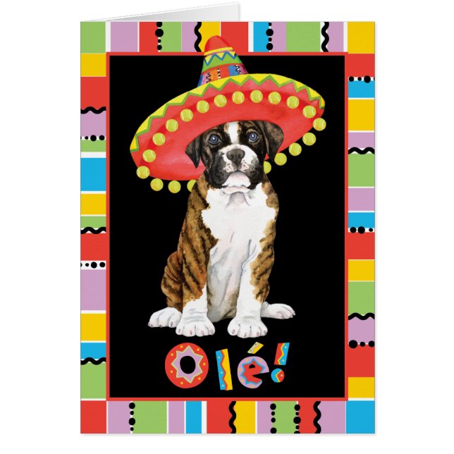 Fiesta Boxer (Frente)