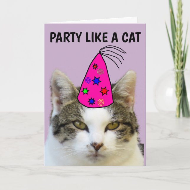 FIESTA COMO TARJETAS DE CUMPLEAÑOS DE GATO (Anverso)