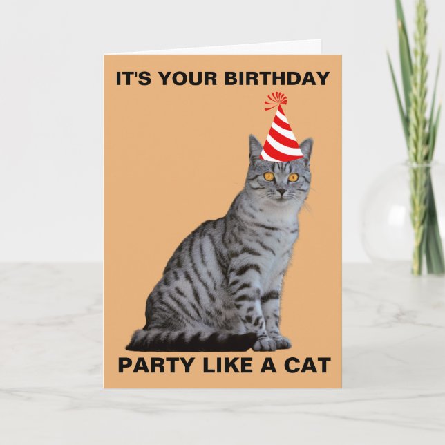 FIESTA COMO UNA TARJETA DE CUMPLEAÑOS CAT (Anverso)