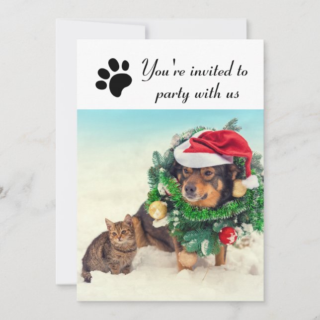 Fiesta Con Nosotros Perro & Gato - Invitación a la (Anverso)