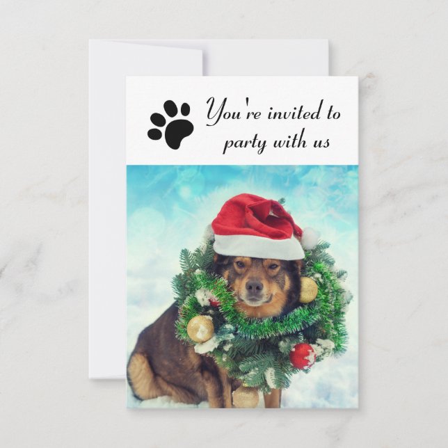 Fiesta Con Perro Estadounidense - Invitación De Fi (Anverso)