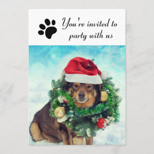Fiesta Con Perro Estadounidense - Invitación De Fi