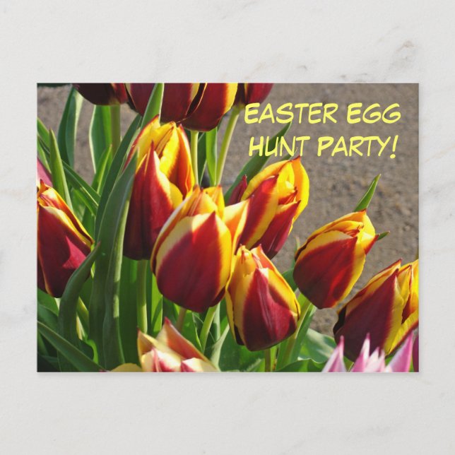 Fiesta de búsqueda de huevos de Pascua! Tarjetas d (Anverso)