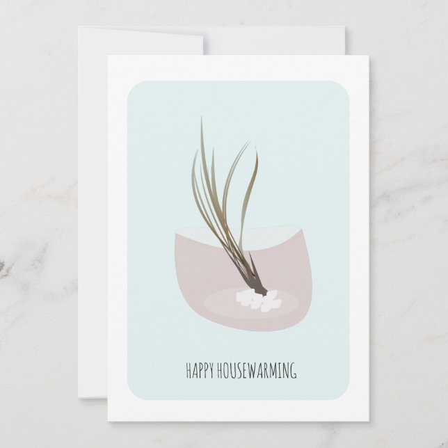 Fiesta de casa de AirPlant (Anverso)