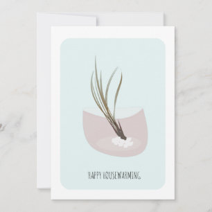 Fiesta de casa de AirPlant