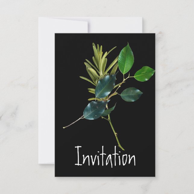 Fiesta de cocina de invitaciones (Anverso)