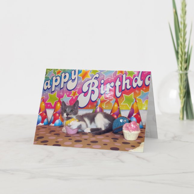Fiesta de cumpleaños de Bob - Tarjeta de gato/gati (Anverso)