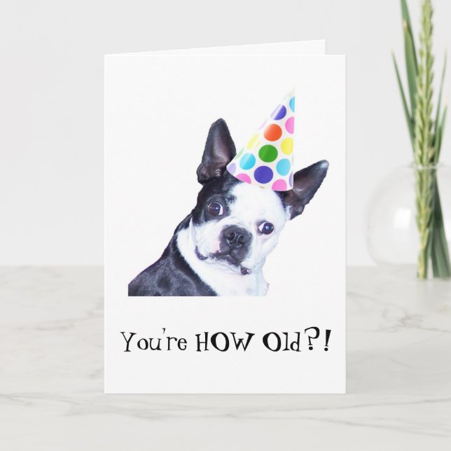 Fiesta de cumpleaños de Boston Terrier - tarjeta (Anverso)