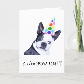 Fiesta de cumpleaños de Boston Terrier - tarjeta