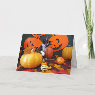 Fiesta de Halloween de Cowboy - Tarjeta para gatos