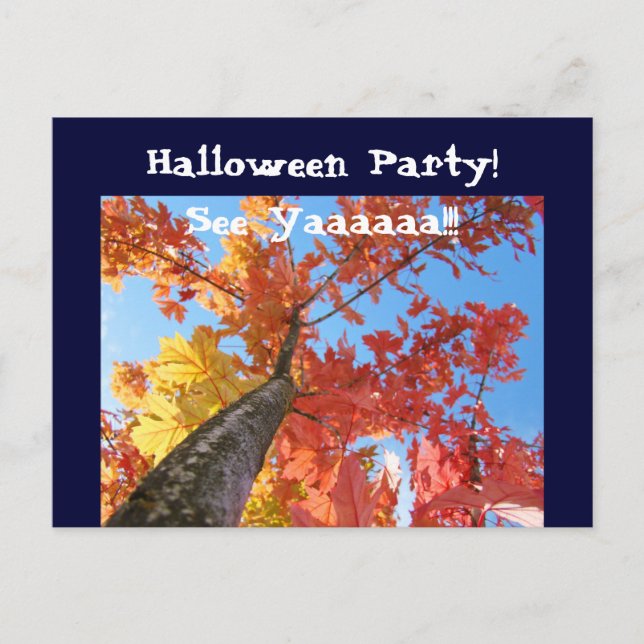 ¡Fiesta de Halloween! Invitaciones Tarjetas Postal (Anverso)