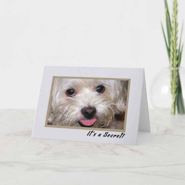 Fiesta de invitación secreta para el hijo que regr (Anverso)