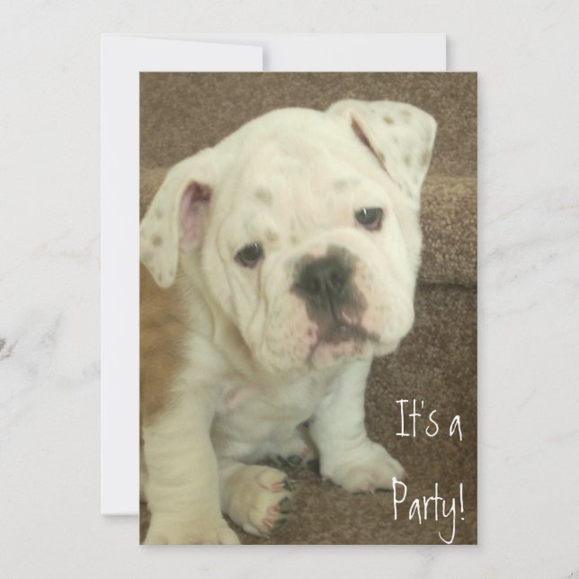 Fiesta de invitaciones de porcino Bulldog inglés (Anverso)