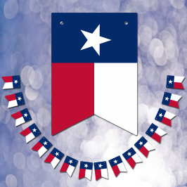 Fiesta de la Bandera de Texas, banners de agrupami