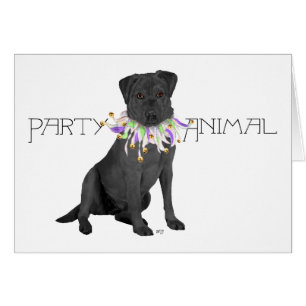 Fiesta de Labrador Retriever Negro