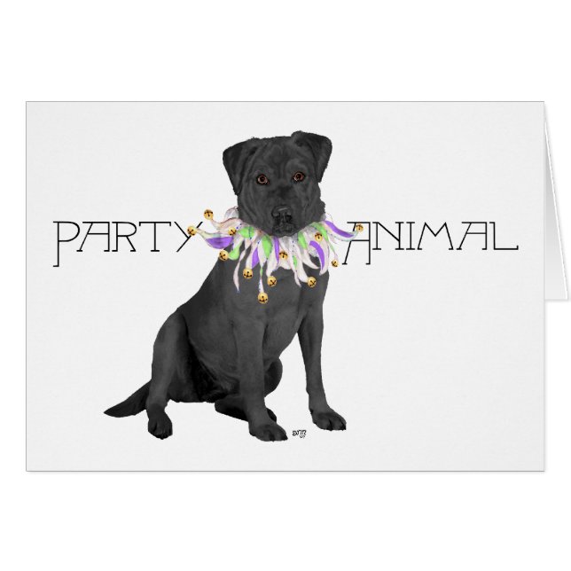 Fiesta de Labrador Retriever Negro (Anverso (Horizontal))