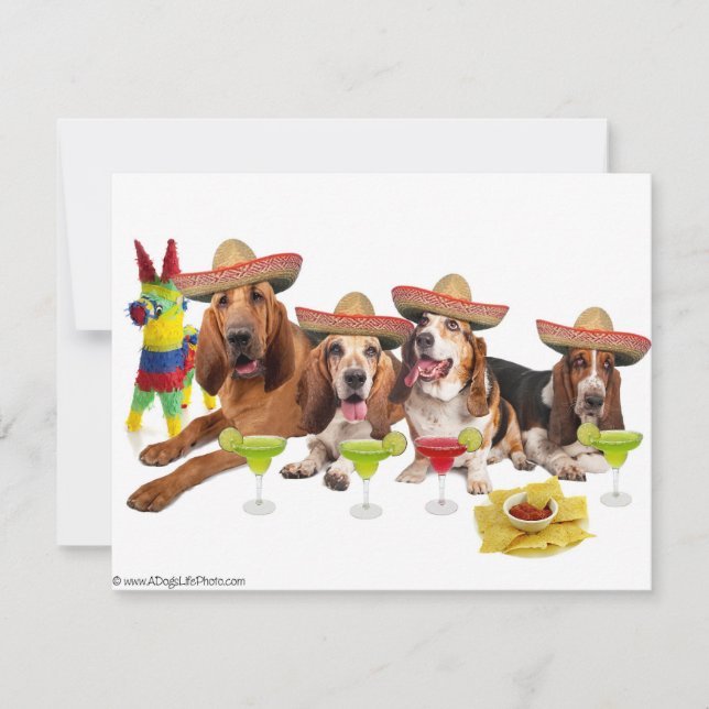 Fiesta de México (Anverso)