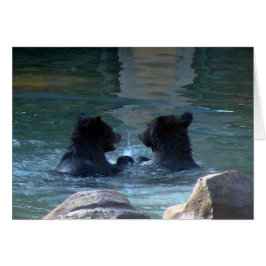 Fiesta De Natación De Oso Grizzly