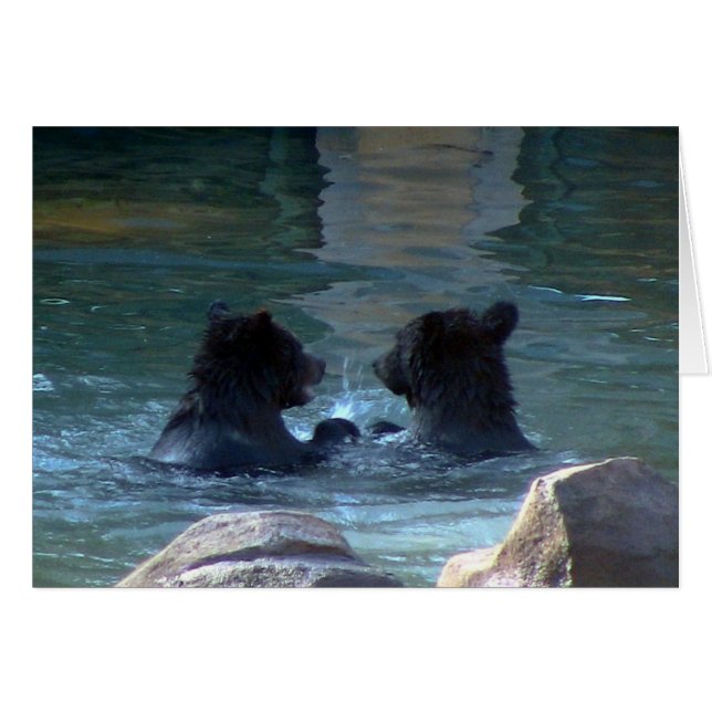 Fiesta De Natación De Oso Grizzly (Anverso (Horizontal))