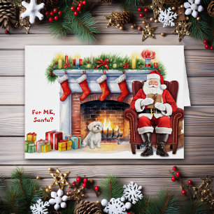 Fiesta de perro maltés de regalo de Santa María