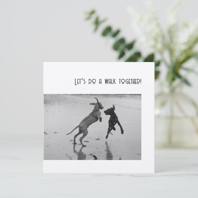 Fiesta de perro o travieso (Anverso de pie)