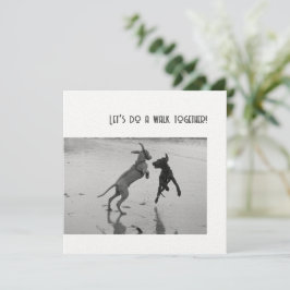 Fiesta de perro o travieso