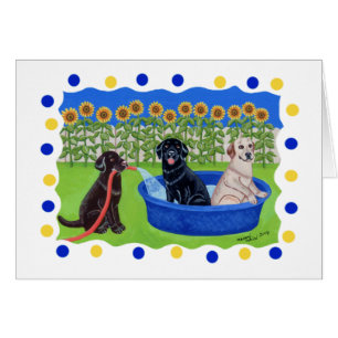 Fiesta en la piscina divertida Labradors