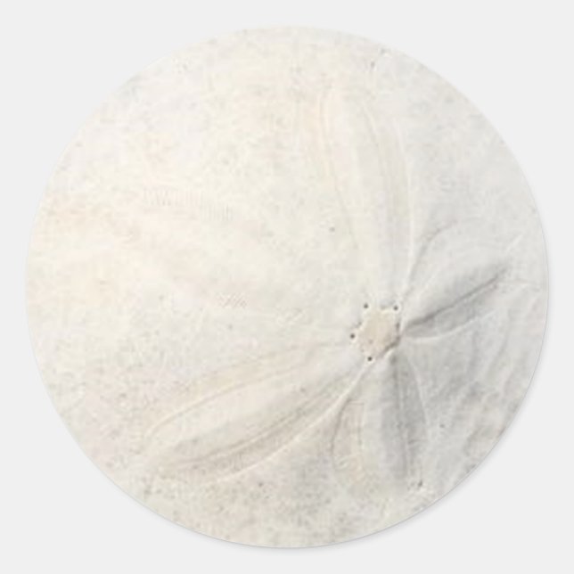 Fiesta en la Playa de Dólar de Arena Calcomanía Re (Anverso)