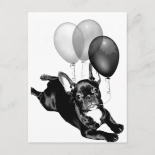 Fiesta hora postal Bulldog francés