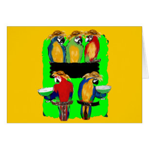 FIESTA PARROTS