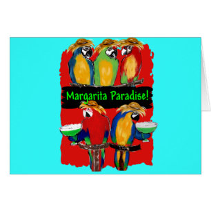 FIESTA PARROTS