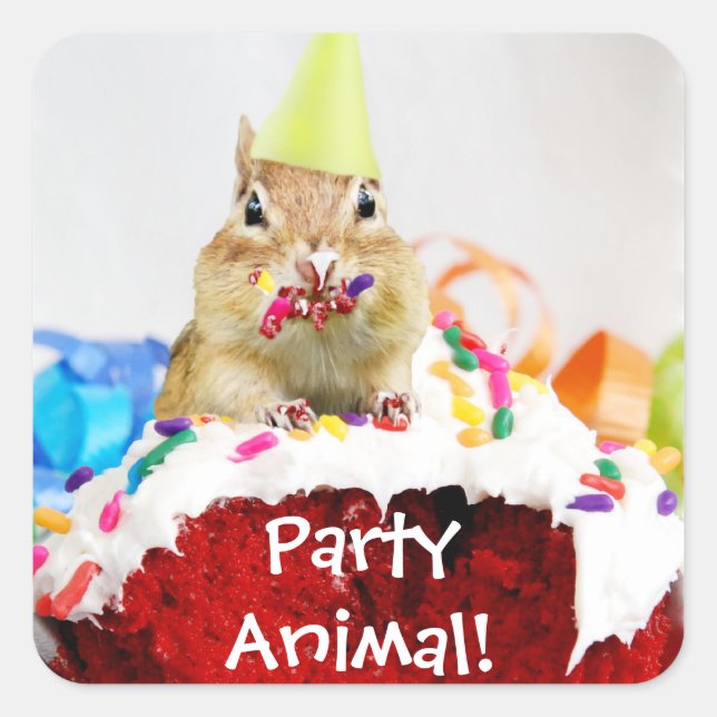 Fiesta Pegatina de Animal Chipmunk (Anverso)