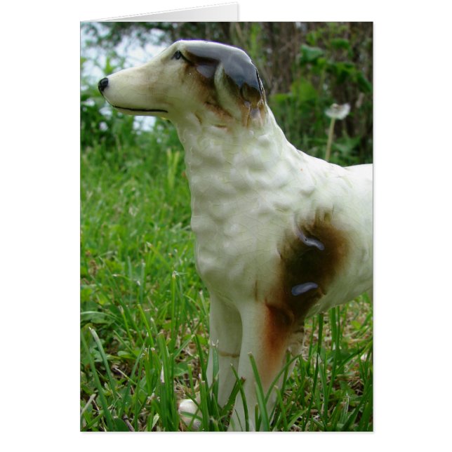 Figura de Borzoi (Frente)