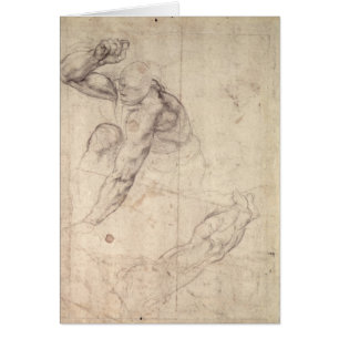 Figura masculina estudio