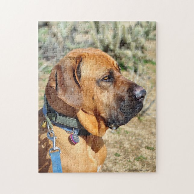 Fila Brasiliero Mastiff Jigsaw Puzzle (Vertical)