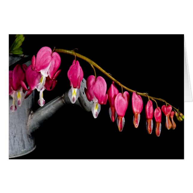 Fila De Corazones (Anverso (Horizontal))