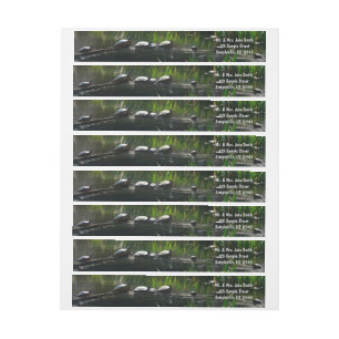 Fila de la naturaleza verde de las tortugas