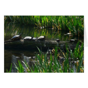 Fila de la naturaleza verde de las tortugas