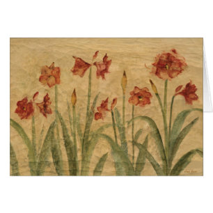 Fila del Amaryllis rojo
