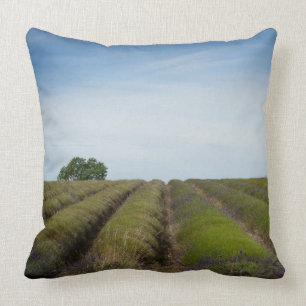 Filas de la lavanda después de la almohada de tir
